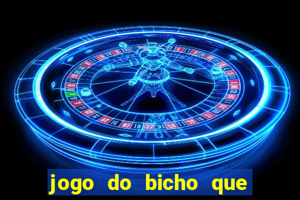 jogo do bicho que paga no pix